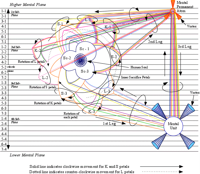 Synthetic Yoga Lotus:  The Rotation of Petals and the Rainbow Bridge