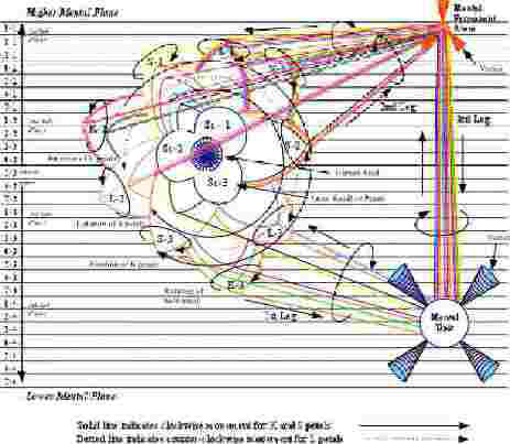 The Spiritual Lotus: Rotation of Petals and the Rainbow Bridge